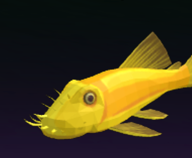 Golden Barb