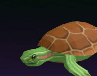 Turtle